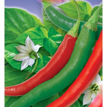 Вестландия семена перца горького среднего 50-70гр. зел./красн. (GL Seeds)
