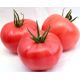 Розовая мечта семена томата индет. раннего 90-100 дн. окр.-припл. 300-400 гр. роз. (GL Seeds)