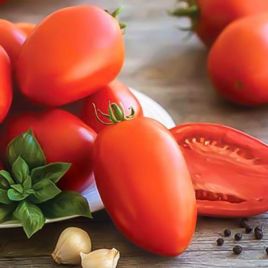 Британский завтрак семена томата индет. среднего 110-115 дн. перц. 60 гр. (GL Seeds)