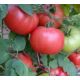 Демидов семена томата дет среднего 105-110 дн окр 110-150 гр роз (GL Seeds)