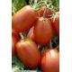 Транс Рио семена томата дет. раннего 92-97 дн. слив. 80-100 гр. (GL Seeds)