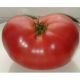 Японский краб семена томата индет. среднего окр. 250-350 гр. роз. (GL Seeds)