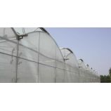Пленка тепличная TRC с АК+IR+EVA (ширина 16 м) прозрачная (150 мкм) (Sotrafa)