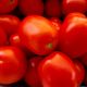 Албароссо F1 семена томата дет. (Agri Saaten)