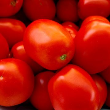 Албароссо F1 семена томата дет. (Agri Saaten)