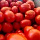 Албароссо F1 семена томата дет. (Agri Saaten)