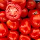 Леонероссо F1 семена томата дет. среднеранн. 110 дн. 80 гр. (Cora Seeds)
