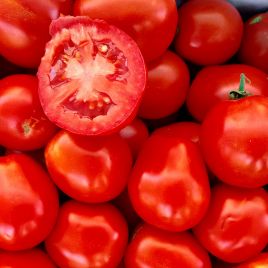 Леонероссо F1 семена томата дет. среднеранн. 110 дн. 80 гр. (Cora Seeds)