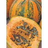 Нейкедсид семена тыквы голосемянной (Servise plus (GSN) СДБ)