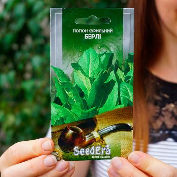 Берли семена табака курительного (Seedera)