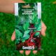 Восточный аромат семена табака курительного (Seedera)