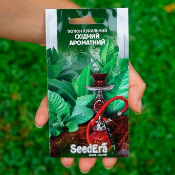 Восточный аромат семена табака курительного (Seedera)