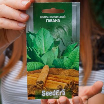 Гавана насіння тютюну курильного (Seedera)