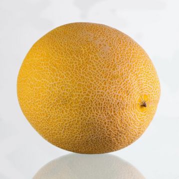 КС 33 F1 (KS 33 F1) семена дыни тип Галия ранней 60-65 дн. 1,8-2,5 кг окр. (Kitano Seeds)