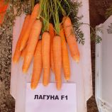 Морковь Лагуна F1