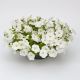 Саксес F1 біла (white) насіння петунії грандіфлора (Benary)