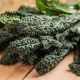 Кале семена капусты листовой (Hortus)