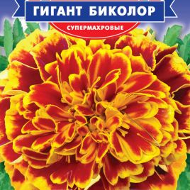 Бархатцы Гигант биколор