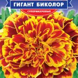 Чорнобривці Гігант біколор