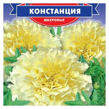 Бархатцы Констанция