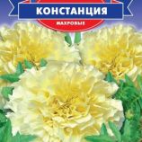 Чорнобривці Констанція