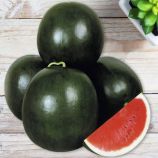Ромерия F1 семена арбуза тип Шуга Беби среднего 65-70 дн. 10-12 кг овал. (United Genetics)