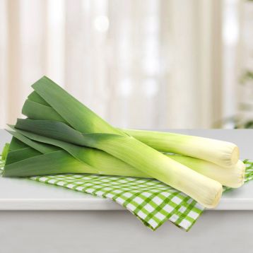 Булгари Гигант семена лука порей 50-60 см зеленого (Wing Seed)