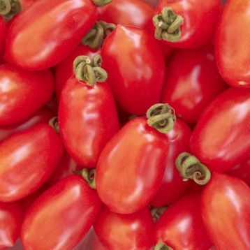 Розовая сливка семена томата индет. среднего 100-110 дн. слив. 50-70 гр. роз. (Професійне насіння)