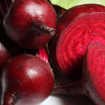 Фаро семена свеклы ранней окр. (Професійне насіння)