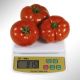  КС 204 F1 (KS 204 F1) семена томата индет. раннего окр. 220-260 гр. красный (Kitano Seeds)