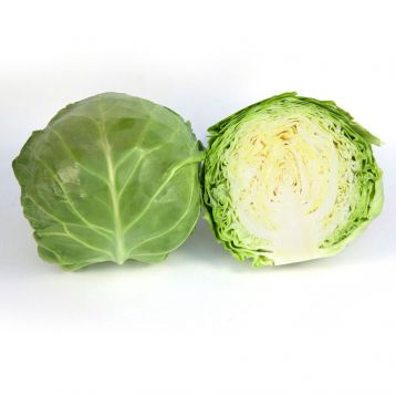 КС 1450 F1 (KS 1450 F1) насіння капусти б/к середньої 60-65 дн. 2,5 кг (Kitano Seeds)