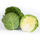 КС 1431 F1 (KS 1431 F1) насіння капусти б/к середньої 55-60 дн. 2 кг (Kitano Seeds)