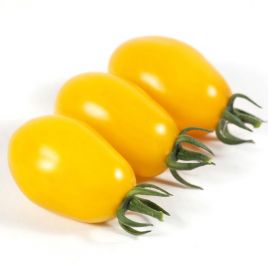 КС 3690 (KS 3690) F1 насіння томата дет. чері жел. (Kitano Seeds)