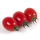 КС 3640 (KS 3640) F1 насіння томата дет. чері (Kitano Seeds)