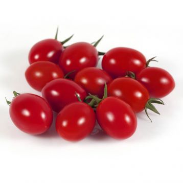 Семена томата КС 3640 (KS 3640) F1 черри купить от Kitano Seeds