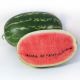 КС 632 F1 (KS 632 F1) cемена арбуза тип кр.св. раннего 9-10 кг овал. (Kitano Seeds)