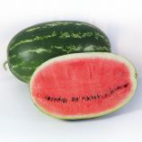 КС 632 F1 (KS 632 F1) cемена арбуза тип кр.св. раннего 9-10 кг овал. (Kitano Seeds)