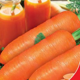 Любимая семена моркови Берликум поздней 120-135 дн. 20-25 см (GL Seeds)