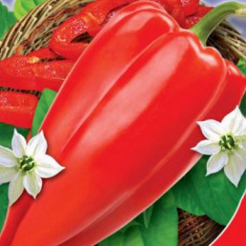 Бивень семена перца сладкого тип Каппи раннего 200-300 гр. 20-25 см 7-8 мм красн. (GL Seeds)