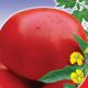 Орловские рысаки семена томата полудет. среднего 300-500 гр. окр.-припл. (GL Seeds)