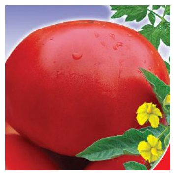 Орловские рысаки семена томата полудет. среднего 300-500 гр. окр.-припл. (GL Seeds)