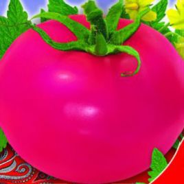 Малиновое виканте семена томата дет среднего 95-100 дн окр 250-300 гр роз (GL Seeds)