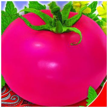 Малиновое виканте семена томата дет среднего 95-100 дн окр 250-300 гр роз (GL Seeds)