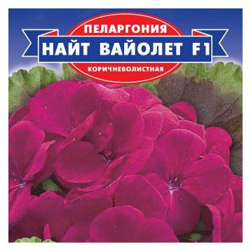 Герань (пеларгония) Найт Вайолетт F1