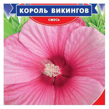 Гибискус Король викингов