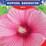 Гибискус Король викингов