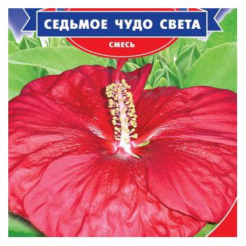 Гибискус Седьмое чудо света