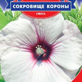 Гибискус Сокровище короны