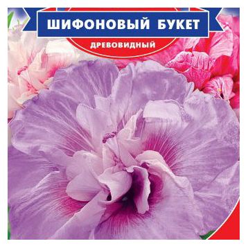 Гибискус Шифоновый букет