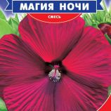 Гибискус Магия ночи